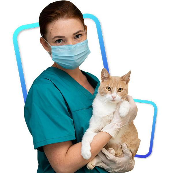 Uso Veterinário Innocare.DR